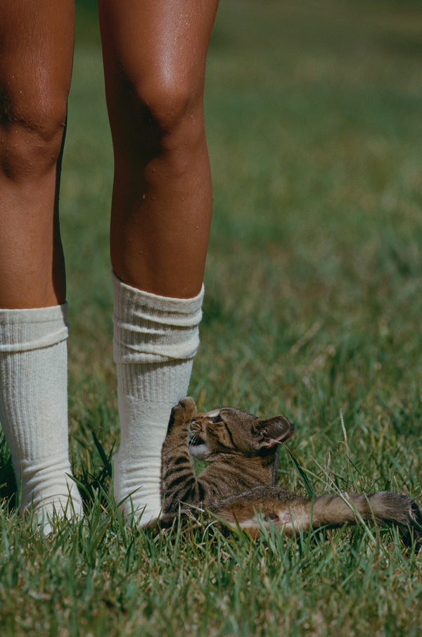 Hemp Crew Socks | Jungmaven Hemp Clothing & Accessories / Color: