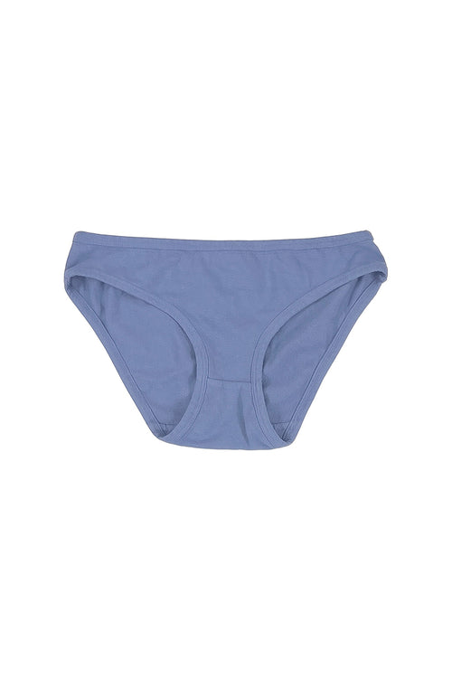Bikini Brief - Sale Colors | Jungmaven Hemp Clothing & Accessories / Color: Wisteria