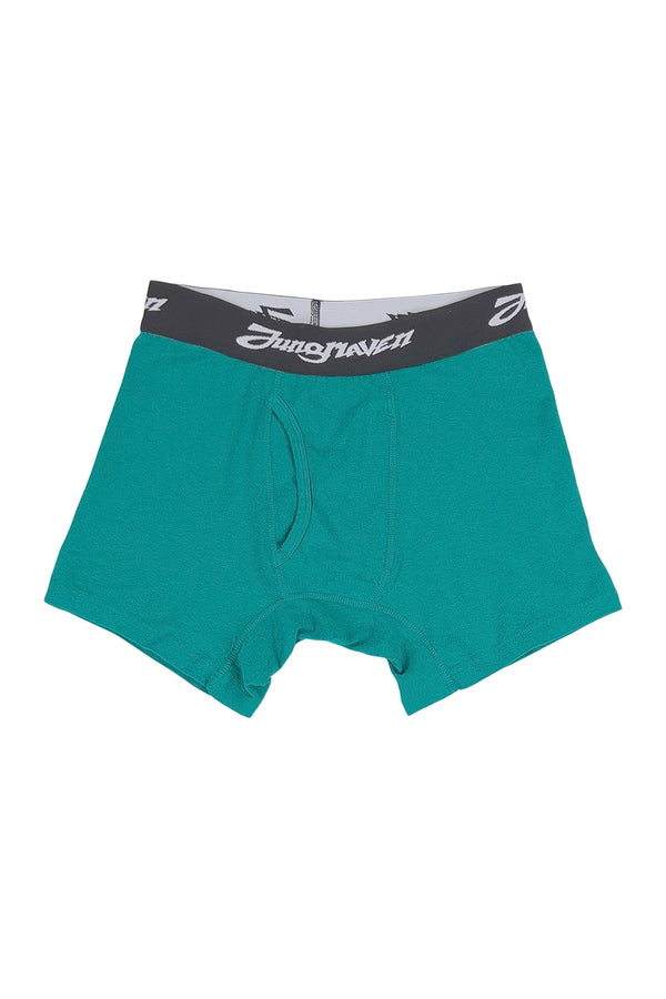 Boxer Brief | Jungmaven Hemp Clothing & Accessories / Color: Teal