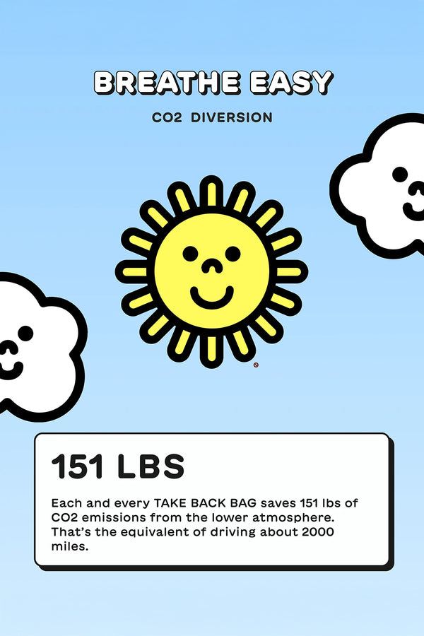 Take Back Bag by Trashie | Jungmaven Hemp Clothing & Accessories / Color: