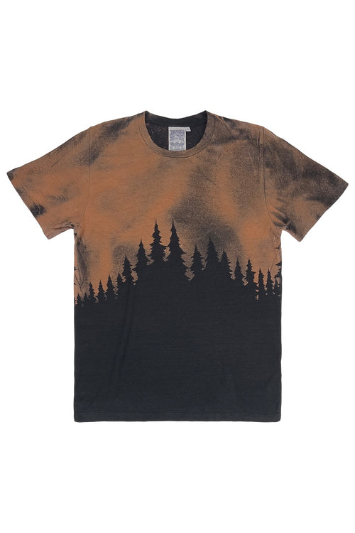 Forest Lorel Tee | Jungmaven Hemp Clothing & Accessories / Color: Black